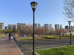-上海山野camping·户外天幕烧烤·团建拓展营地