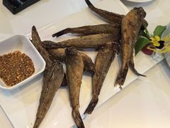 -红东阁东北菜烤肉酒馆(CROSS万象汇店)