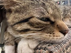 -中田健身工作室(嘉定江桥店)