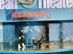 -苏州海洋馆