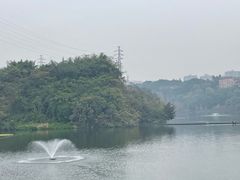 -重庆彩云湖湿地公园