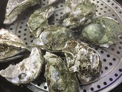 -蚝专家(北滘店)