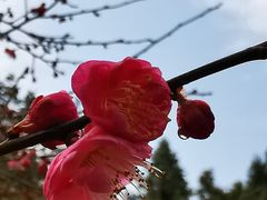 -杭州六谷生态休闲农庄有限公司