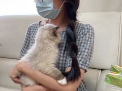 -lincat·猫舍(广州店)