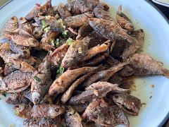 -巩本明鱼屋子