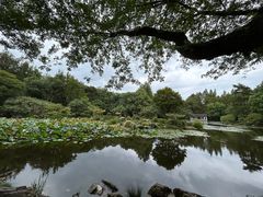 -杭州植物园