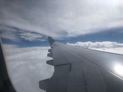 -约翰·菲茨杰拉德·肯尼迪国际机场