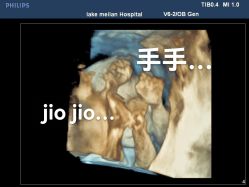 -上海美兰湖妇产科医院