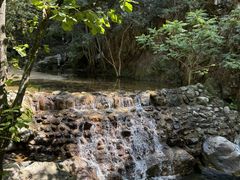 -牛背梁国家森林公园