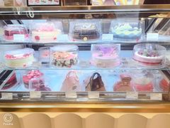 -哈根达斯(深圳海岸城店)