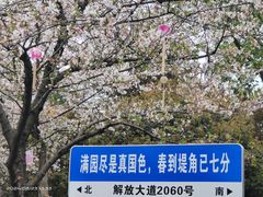 -堤角公园