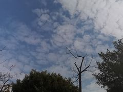 -小和庆·知味(首铸万科店)