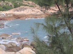 -广东惠东海龟国家级自然保护区