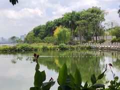 -南宁南湖公园