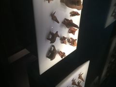 -荆州博物馆