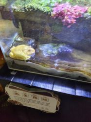 -酷嗒动物文化乐园(cutezoo西溪乐天城店)