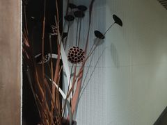 -枣子树素餐厅(铂金城店)
