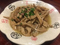 -四季春