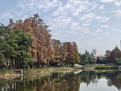 -四海公园(南山区)