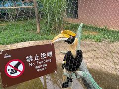 -杭州野生动物世界