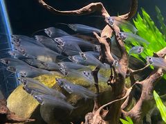 -太平洋海底世界