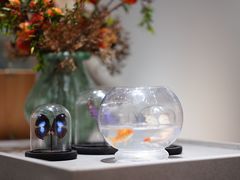 -小豆海棠(嘉兴路店)