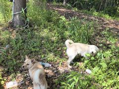 -新怡路亚垂钓园