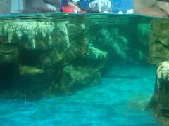 -石家庄海洋公园