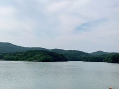 -佛手湖郊野公园