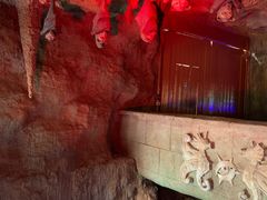 -新加坡水上探险乐园