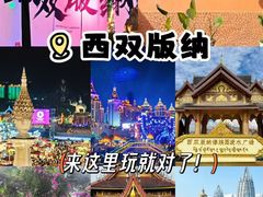 -西双版纳原始森林公园