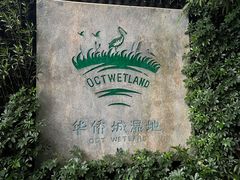 -华侨城湿地公园