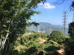 -广州市帽峰山景区