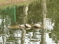 -太阳宫公园