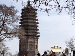 -高尔山公园