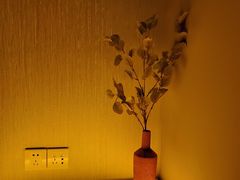 -禧瑞 ·丝浴主题·水疗·spa(中山公园店)