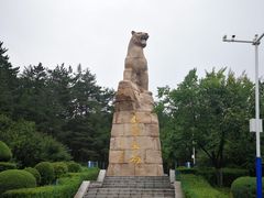 -帽儿山国家森林公园