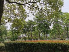 -天鹅湖体育公园