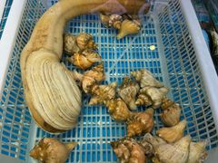-鲤城海鲜酒楼(晋联国际中心店)