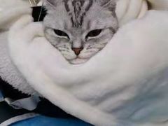 -Tubestation站点比萨(五道营店)