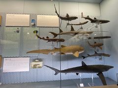 -浙江自然博物院(杭州馆)