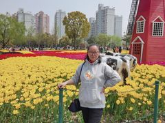 -大宁郁金香公园-停车场