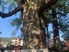 -新安江山水画廊风景区
