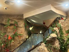 -富侨养生(光大会展店)