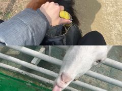 -芜湖方特东方神画