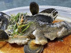 -渔人金景(湛江·渔人码头店)