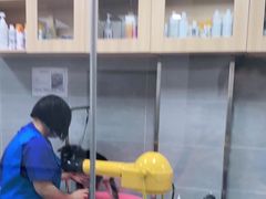-宠福鑫康馨动物医院·骨科·眼科