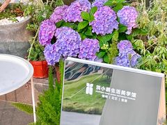 -洪小鹏生活美学馆(领SHOW天地店)