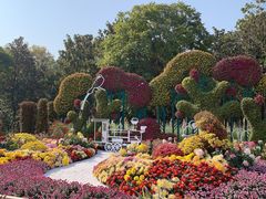 -上海共青森林公园