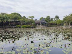 -粤晖园